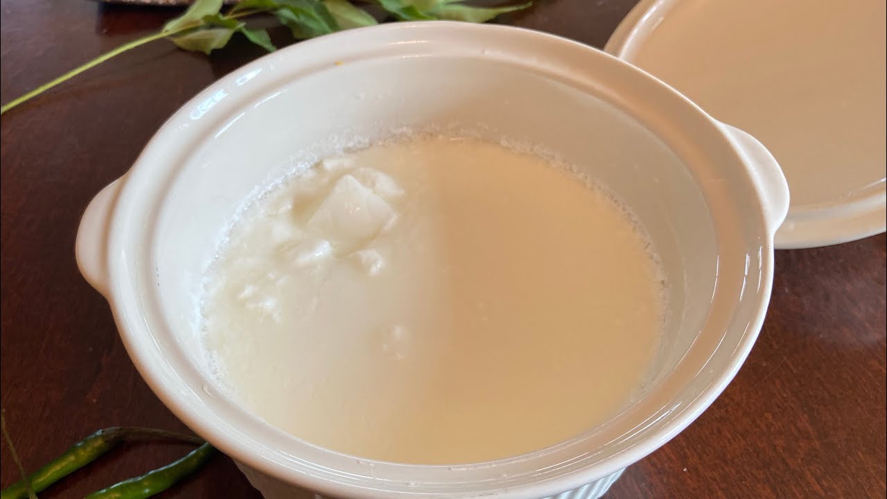 Yogurt I Dahi I Curd Vegan Recipe  🌱🦁