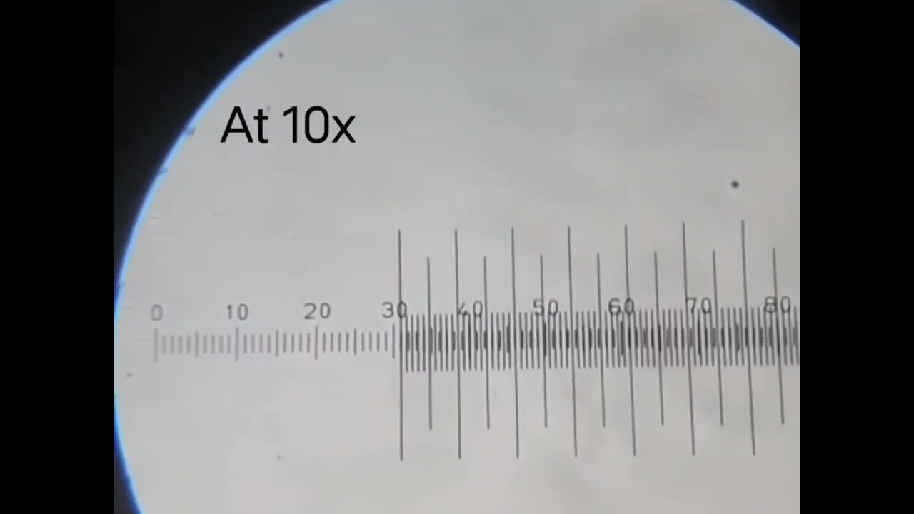Determination of the fibre length and width of a given powdered crude drug sample