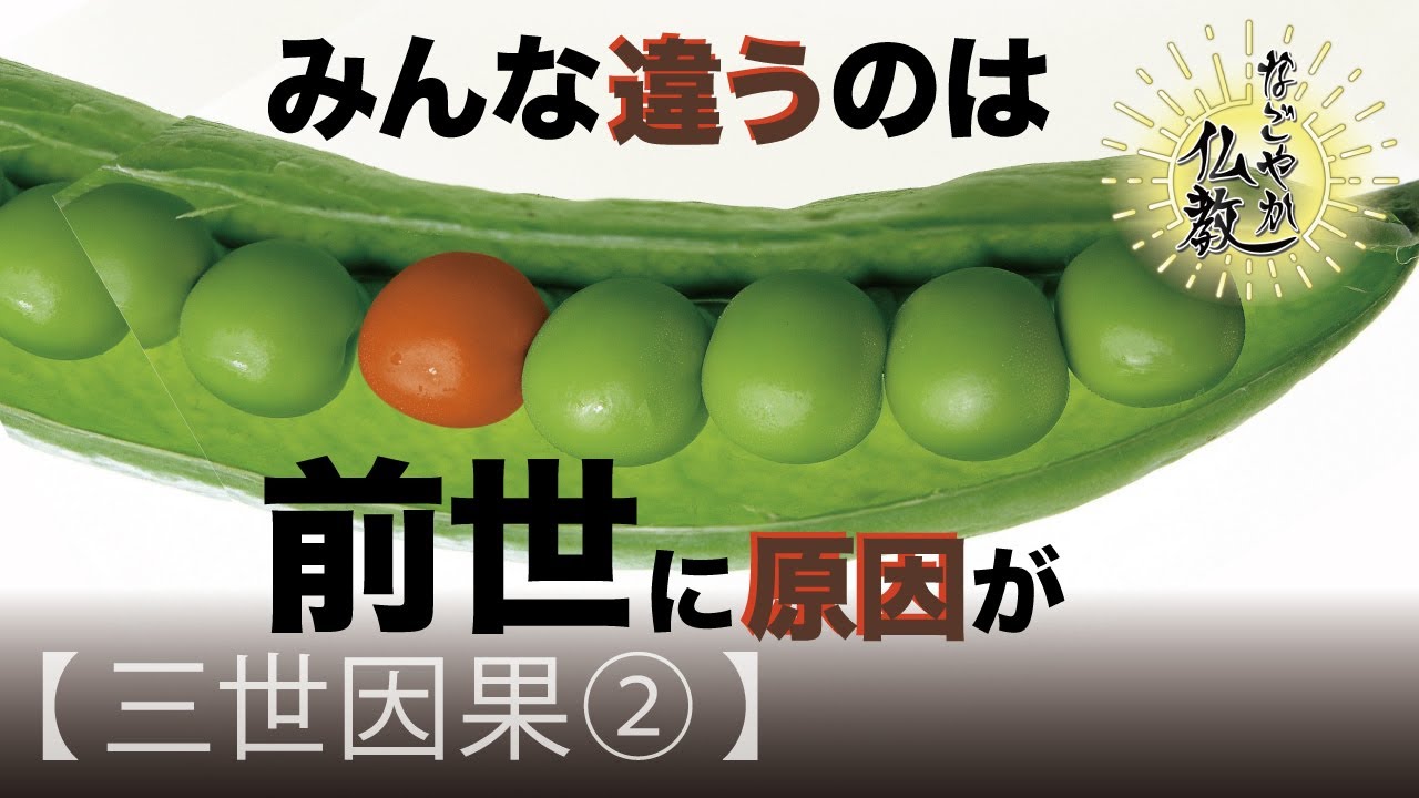 同じ人間なのに 生まれた時点で違いがあるのはなぜ？《三世因果②》【なごやか仏教127】