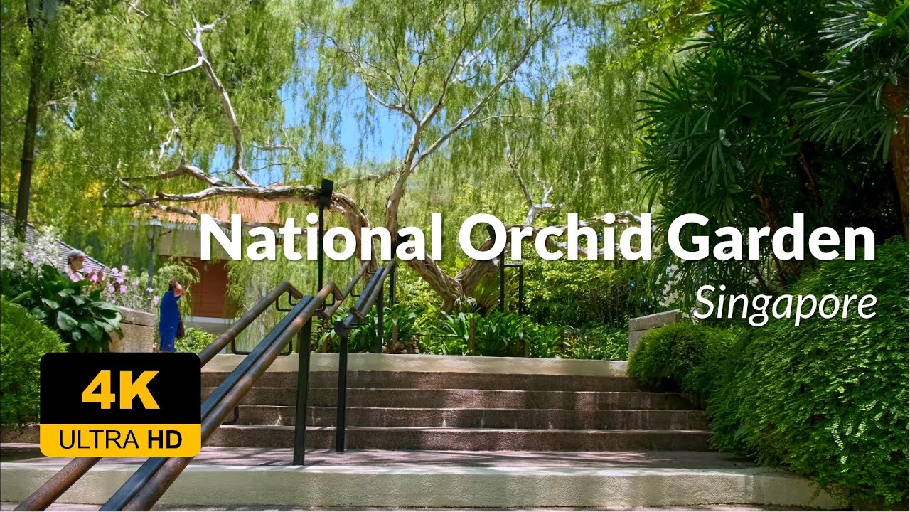 National Orchid Garden - 4K UHD 60FPS Walking Tour #nationalOrchidGarden