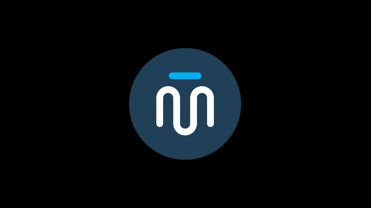 MT UNIREPAIR CORPORATE