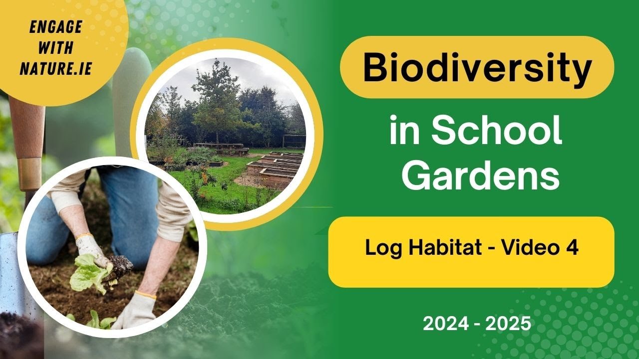 Log Habitat
