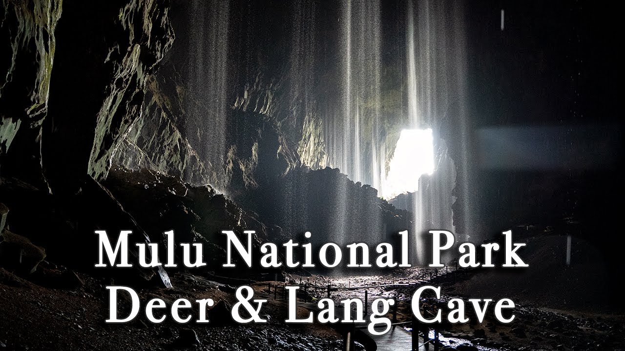 Deer and Lang Cave in Gunung Mulu National Park in Malaysia【Full Tour in 4k】