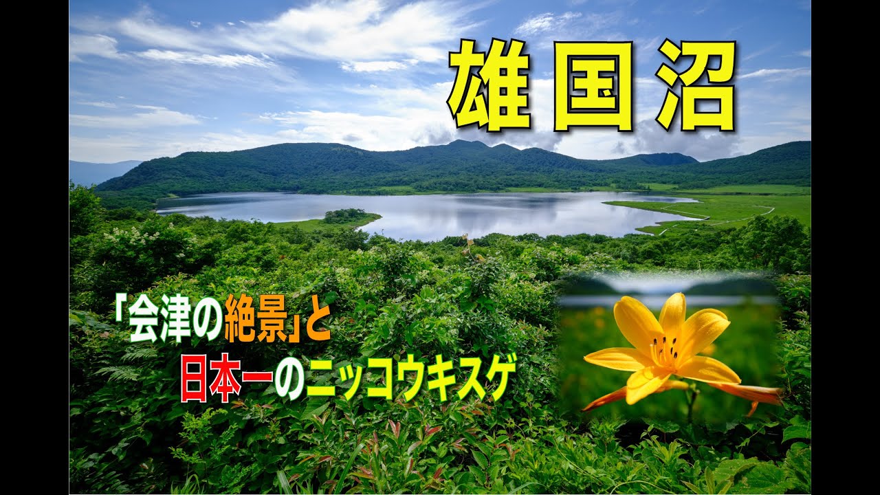 【登山動画】日本一のニッコウキスゲ鑑賞！福島県・雄国沼へ