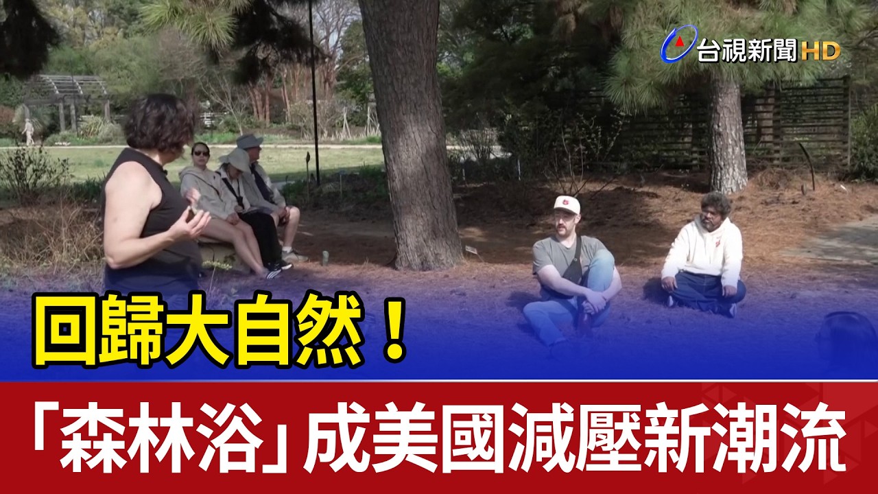 回歸大自然！ 「森林浴」成美國減壓新潮流