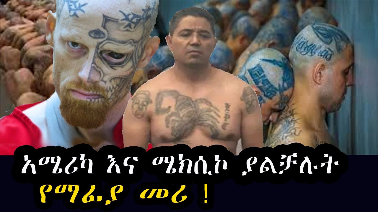 አሜሪካ እና ሜክሲኮን ያስጨነቀው  የማፊያ መሪ ! The most wanted mafia leader from America to Mexico