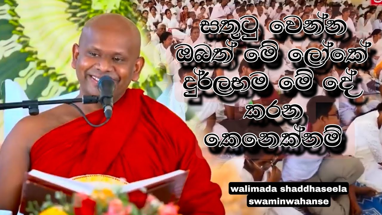 බිලියන අටක් අතර ඔයා කොච්චර වාසනාවන්ත ද.. Walimada shaddhaseela swaminwahanse deshana