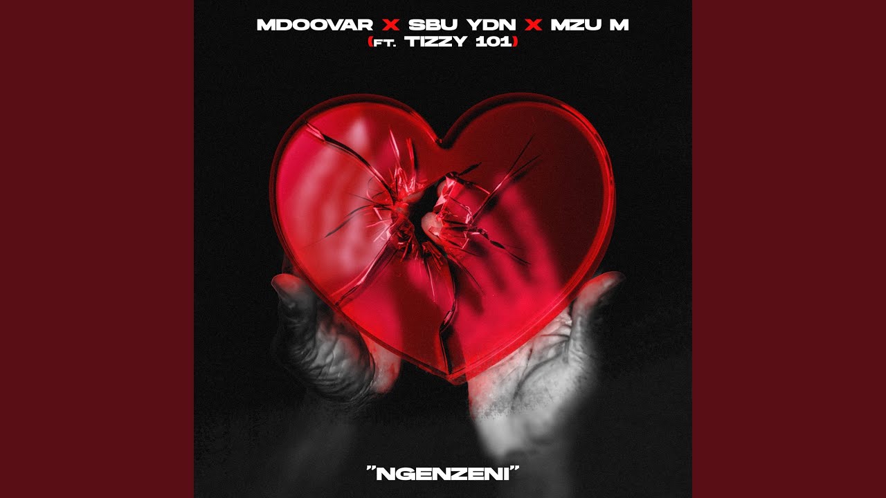 Ngenzeni (feat. Tizzy 101)