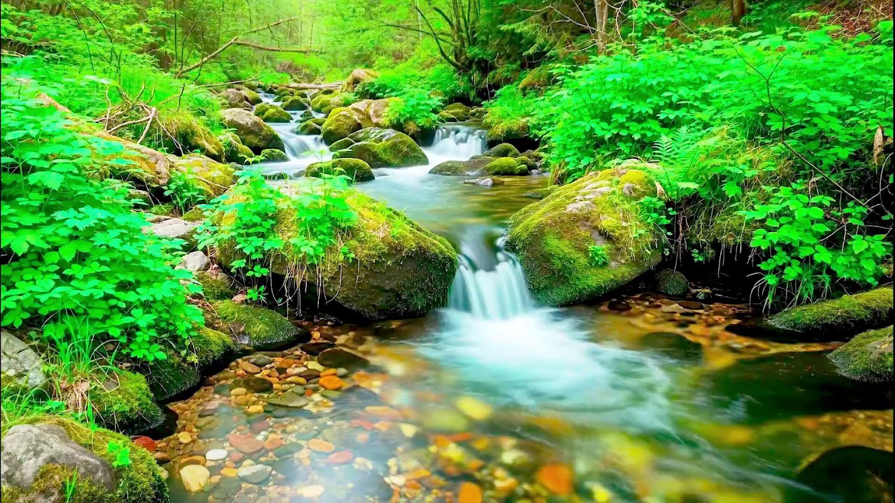 Calming River Sound for Deep Sleep | Natural Healing Ambience for Health and Peace