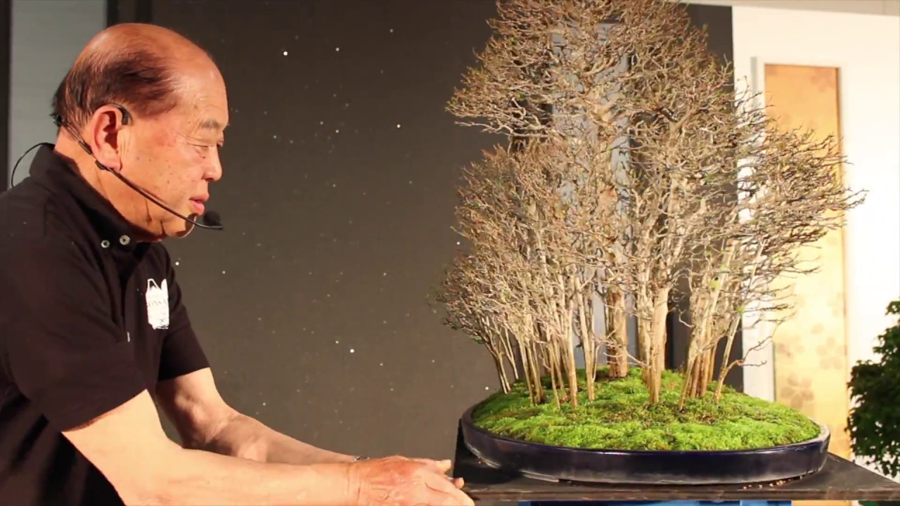 Bonsai demo by Mr. Hiroshi Takeyama at the WBC