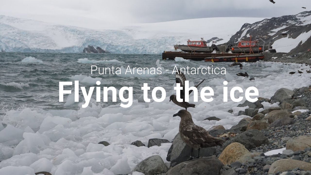 Flying to the ice | Punta Arenas - Antarctica