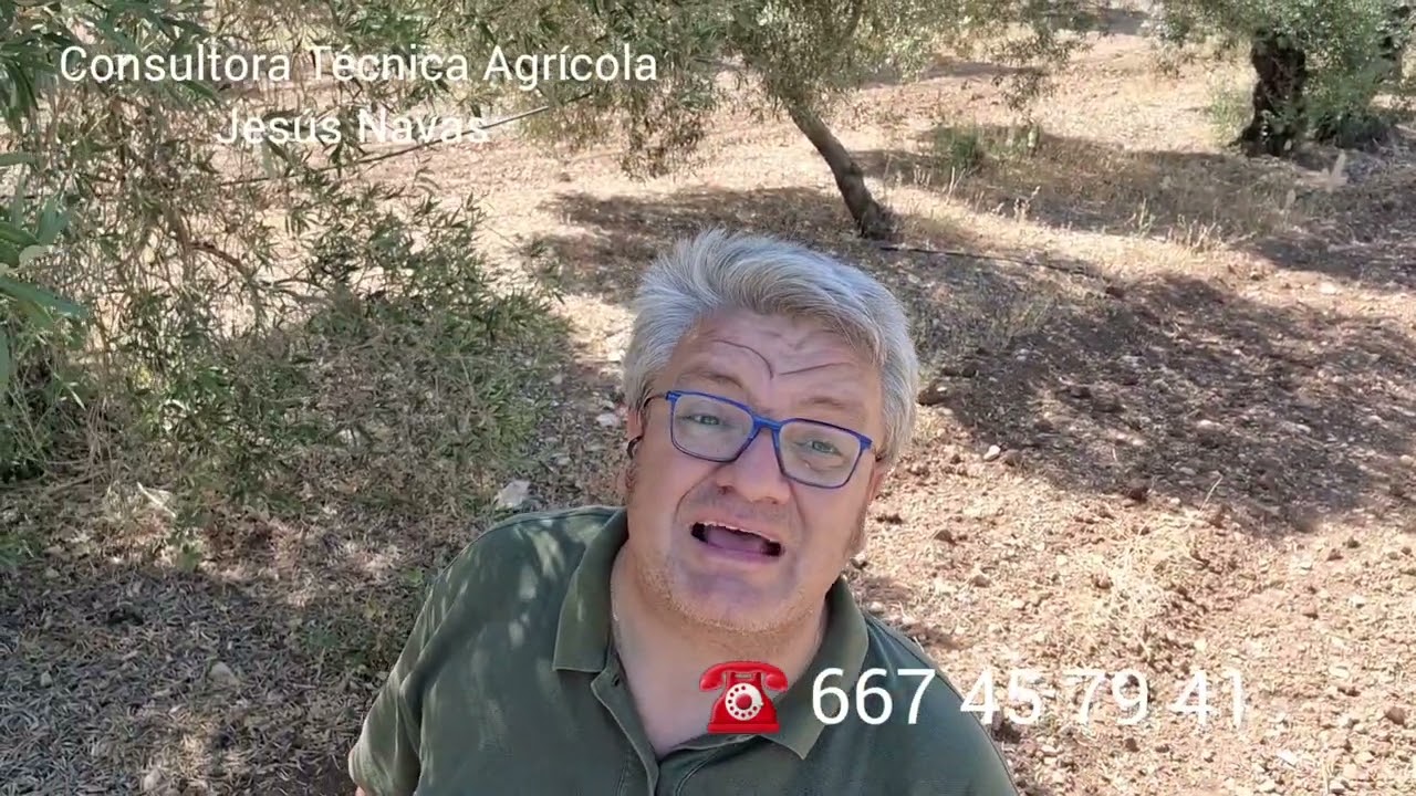Hoja amarilla y otros