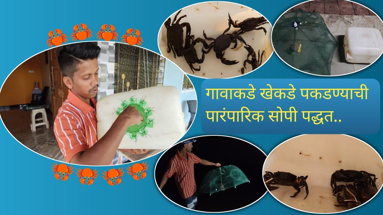 गावाकडे खेकडे पकडण्याची पारंपारिक सोपी पद्धत...🦀| Best Traditional Trap to Catching Crabs in Village