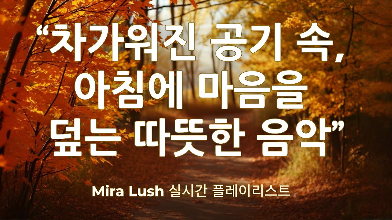 ☕ 차가워진 공기 속,&nbsp;아침에 마음을&nbsp;덮는 따뜻한 음악 | Mira Lush 실시간 플레이리스트