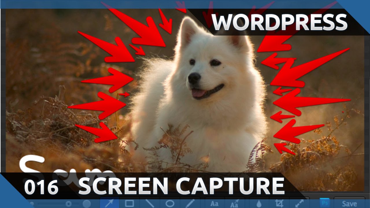 How to capture screenshots and automatically insert them into WordPress posts