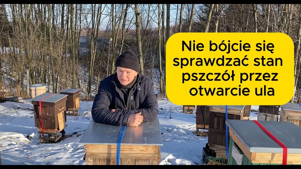 Nie bójcie się sprawdzać stan pszczół przez otwarcie ula. #bee #beekeeping