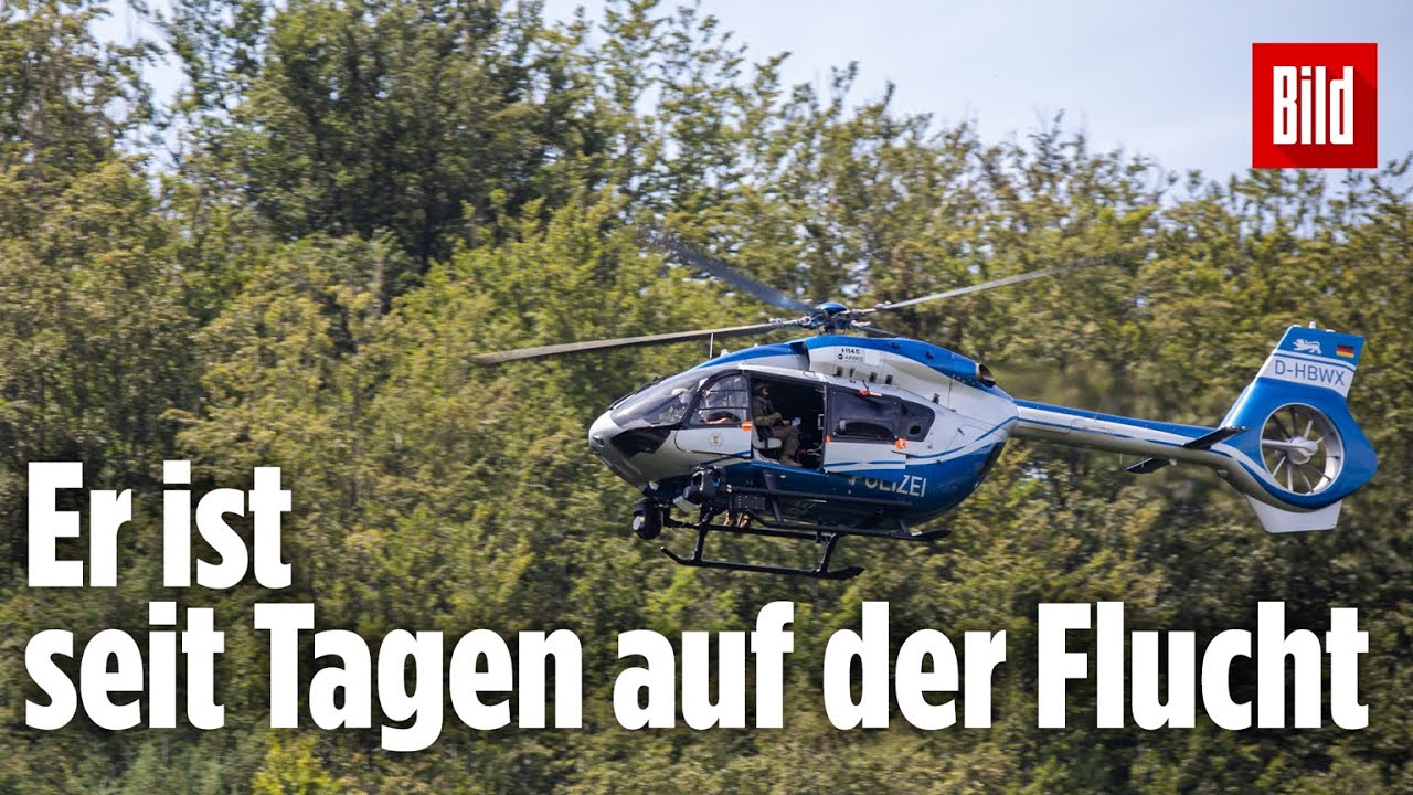 Ein F&ouml;rster erkl&auml;rt, wie lange Wald-Rambo Yves Rausch sich noch im Wald verstecken kann