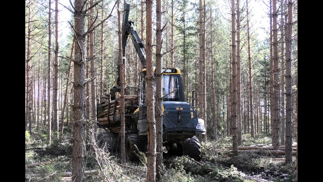 Ponsse Gazelle 8WD Loading & Unloading (4K)