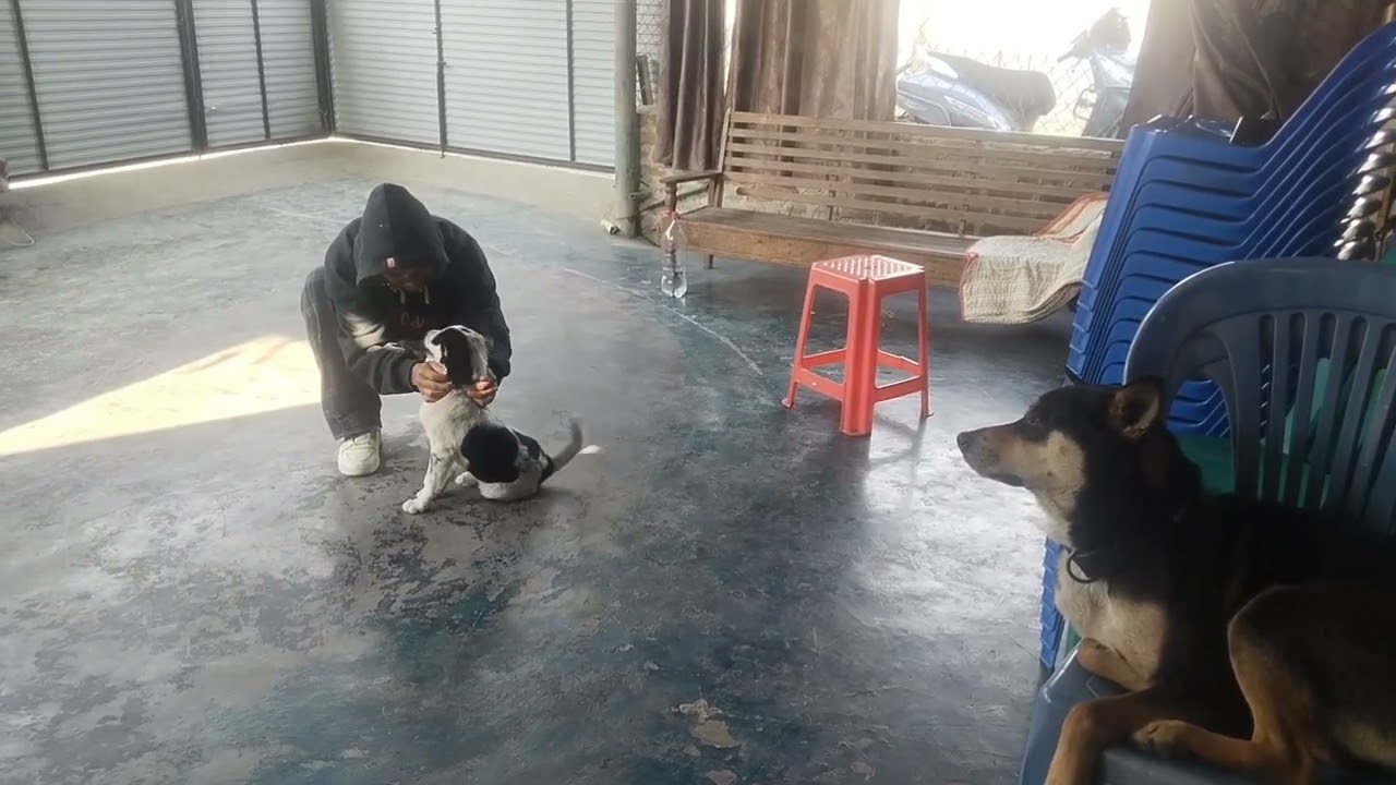 25.02.26.  training class
