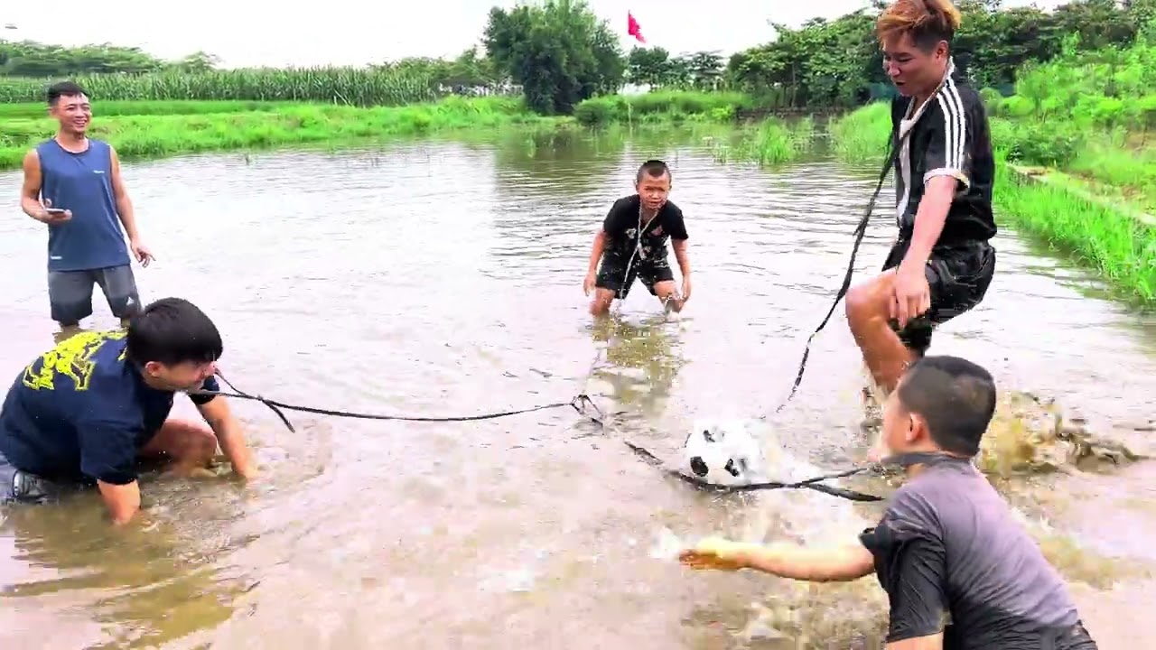 Di Chuyển Bóng Bằng Cổ | Thử Thách Siêu Hài Hước và Thú Vị