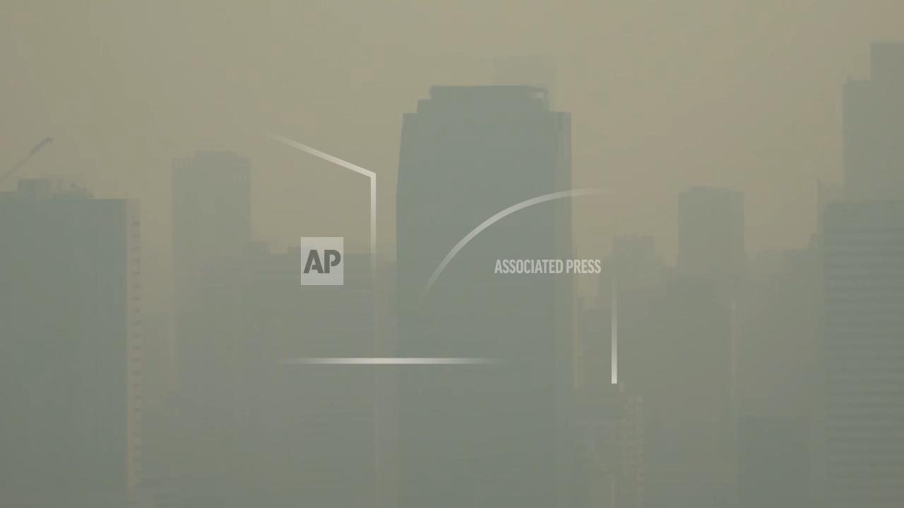 Choking on smog, Bangkok gives free public transport to try to cut car emissions