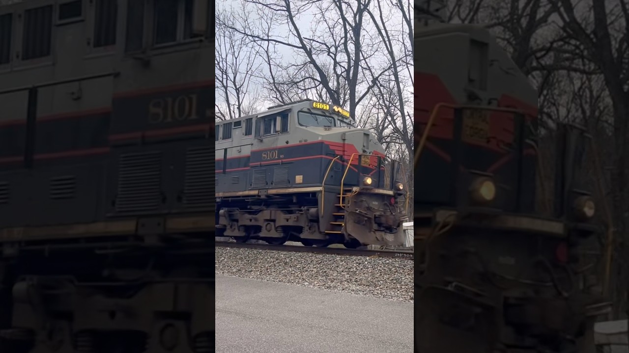 NS 8101 Central Of Georgia
