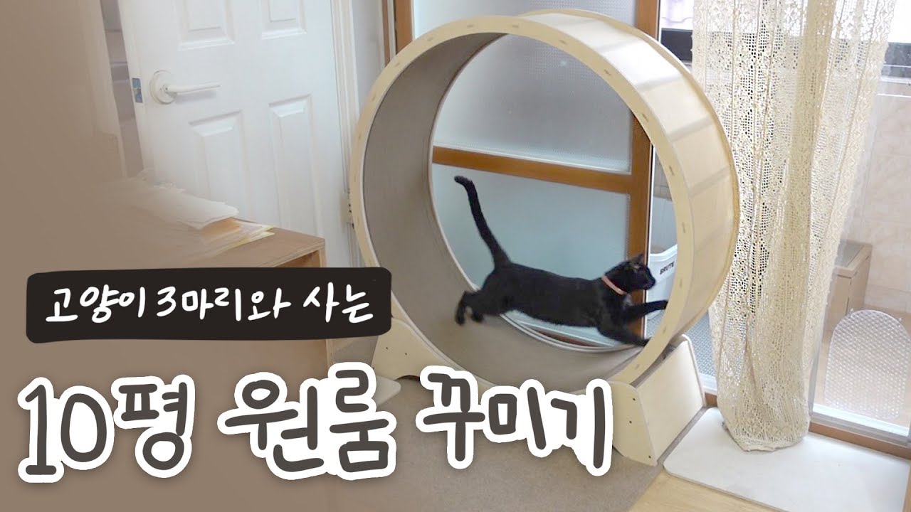 캣폴부터 캣휠까지!? 고양이3마리와 사는 10평 원룸 꾸미기🏠 원목 셀프 인테리어