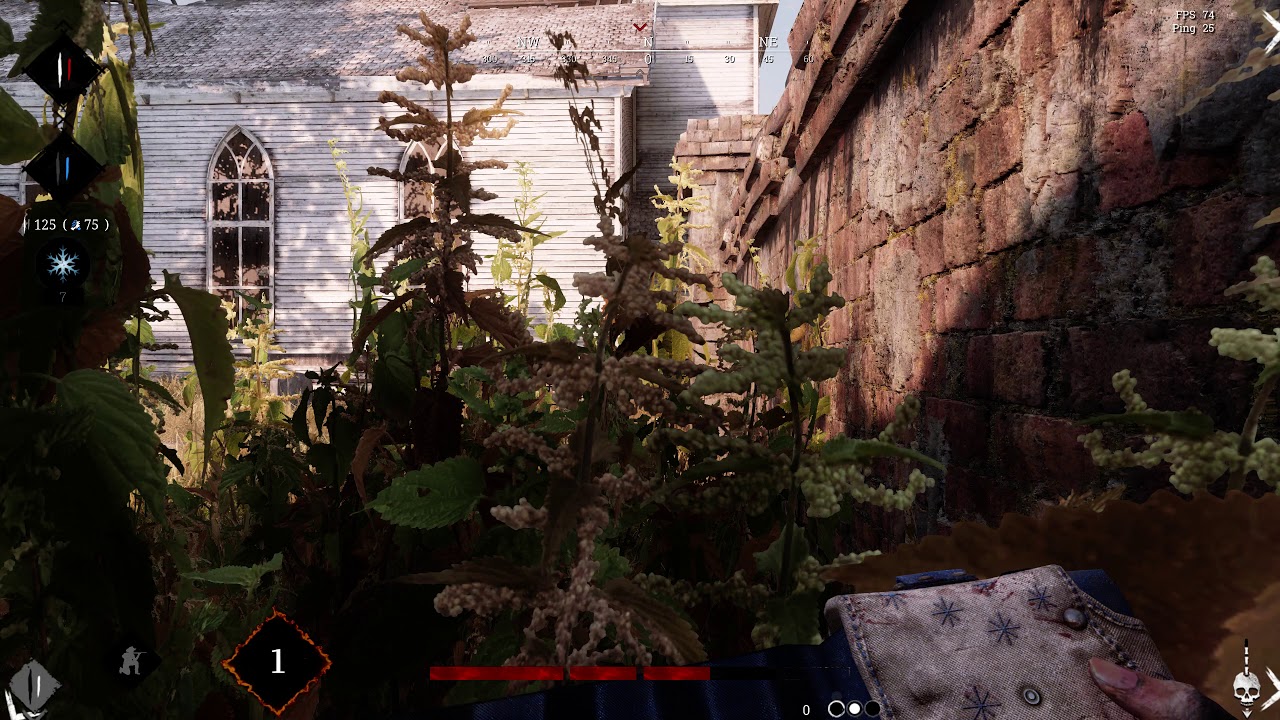 Hunt  Showdown Freezing/Stuttering and what the heck!?