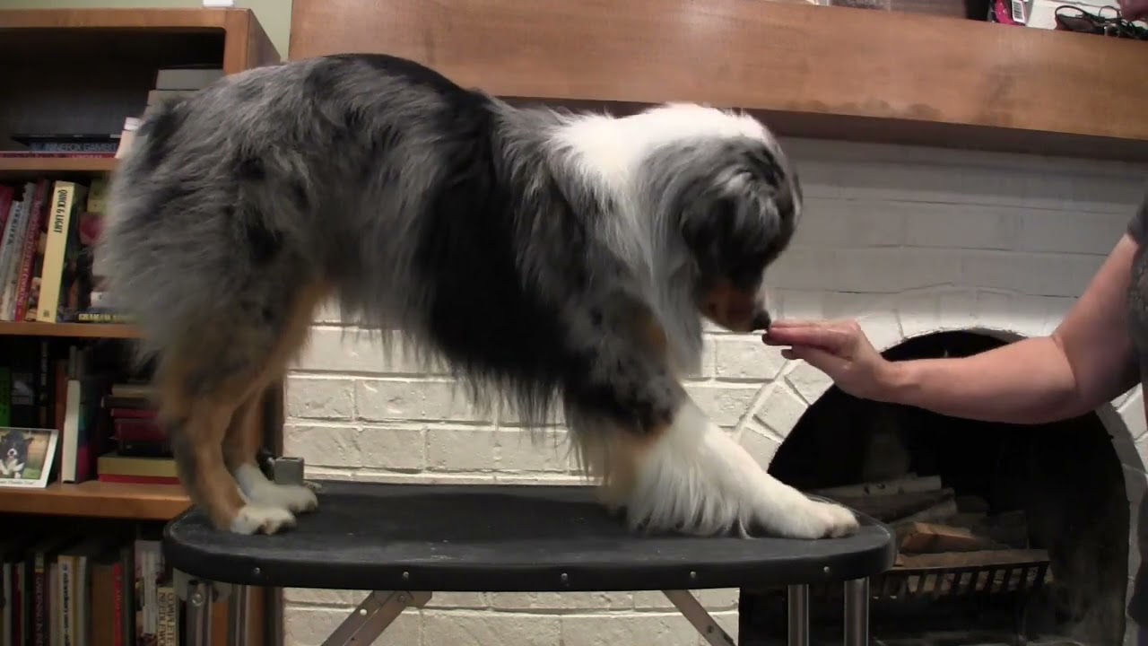 Training Down Tips