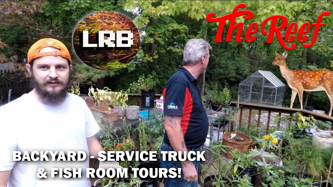 CHECK OUT LUCAS BRETZ'S FISH ROOM & BACK YARD POND BUILD | GET A PEEK AT THE REEF'S SERVICE VANS!