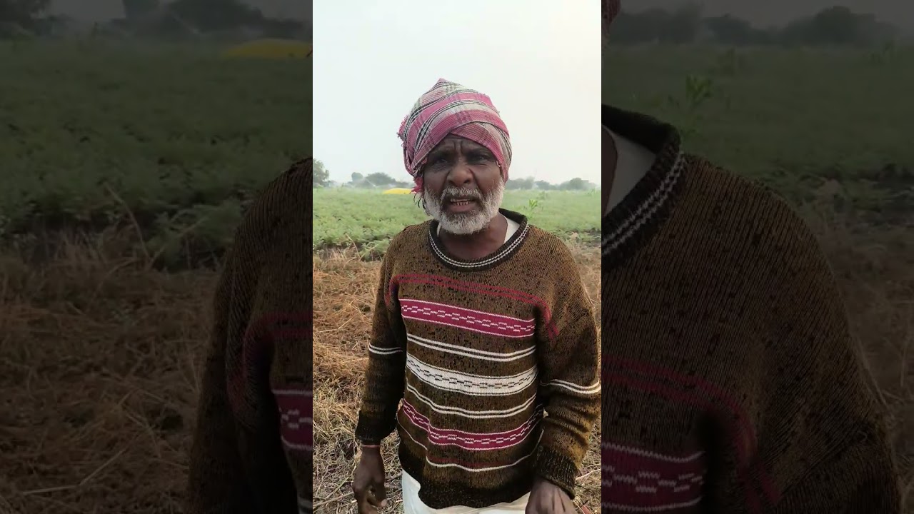 पिढ्यांमधील अंतर… अनुभवाच्या शब्दांत