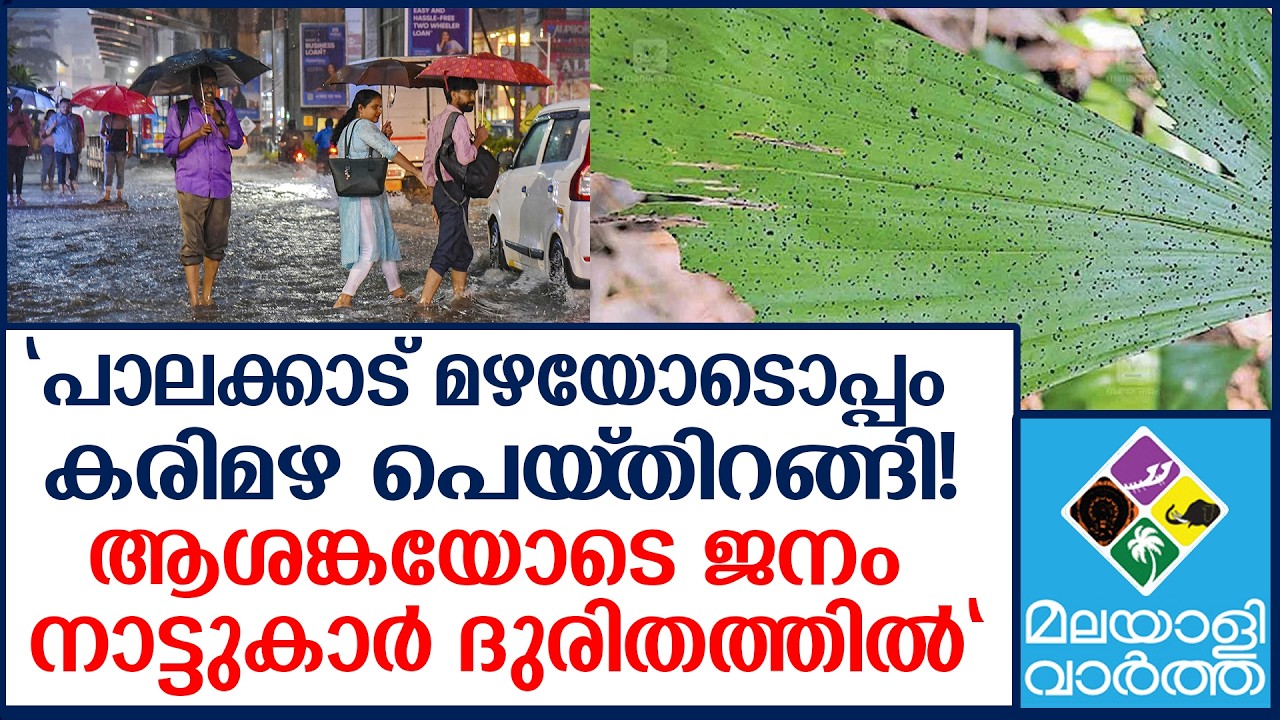 Palakkad പരിസരത്ത് കറുത്ത നിറം ഒട്ടിപ്പിടിച്ചു