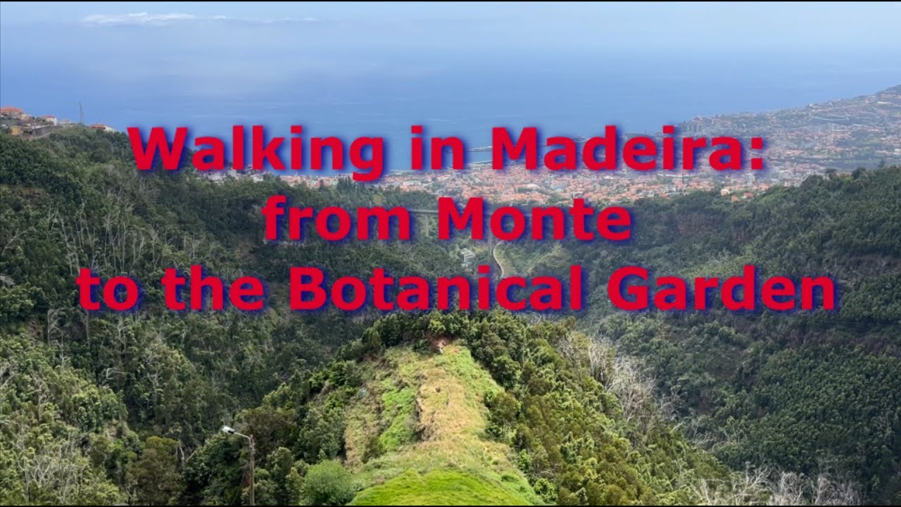 Walking from Monte to Jardim Botânico | Scenic Walk in Madeira