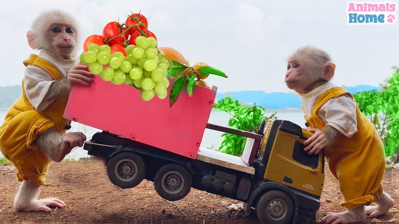 Smart Obi uses a crane to pick fruit