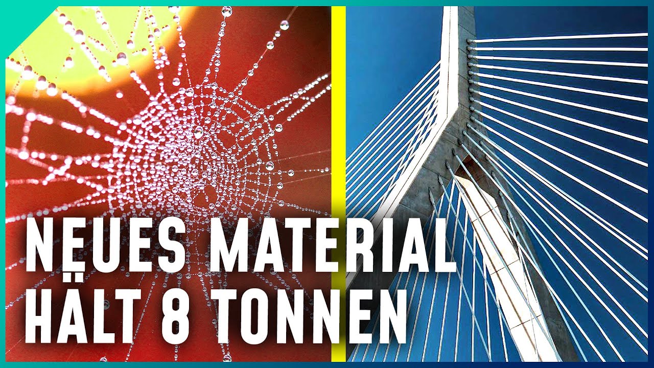 Neues Material aus Spinnenseide ist super stark und leicht – Airbus investiert bereits