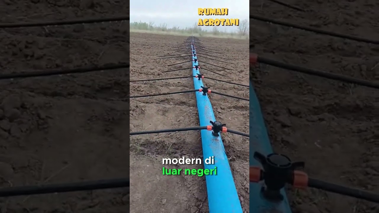 Begini Irigasi Pertanian Modern