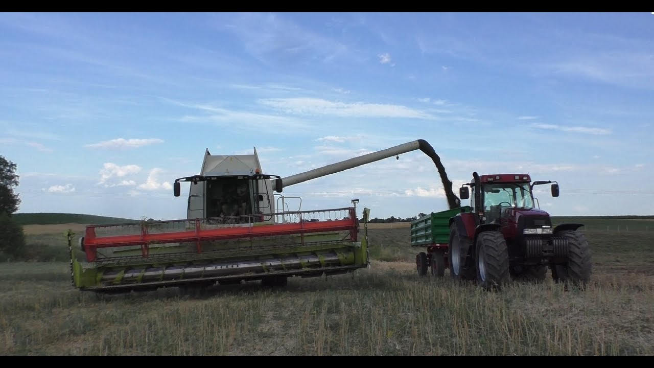 Żniwa na Kujawach - Rzepak 2018!/ Claas Lexion 570/ Case MX 170 !