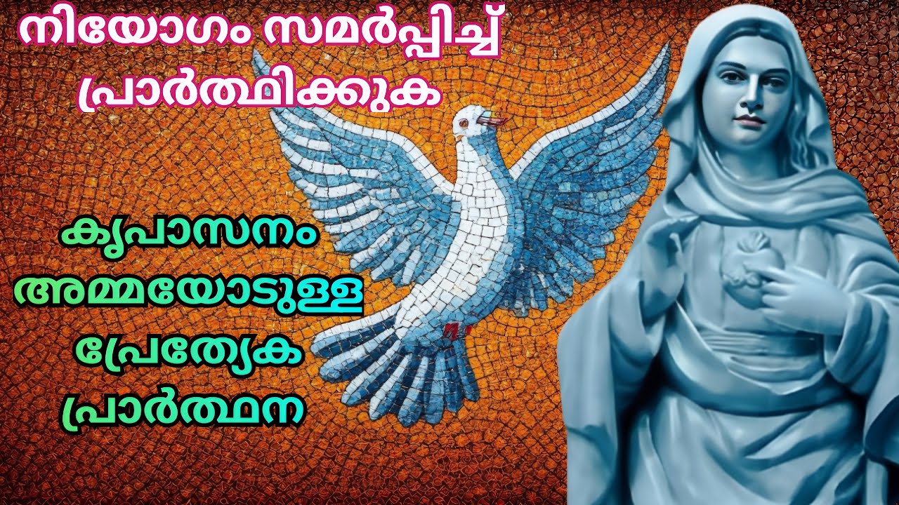 കൃപാസനം അമ്മയോടുള്ള പ്രത്യേക പ്രാർത്ഥന 18/2/26 #kripasanam  #Kreupasanam #കൃപാസനംഅമ്മ