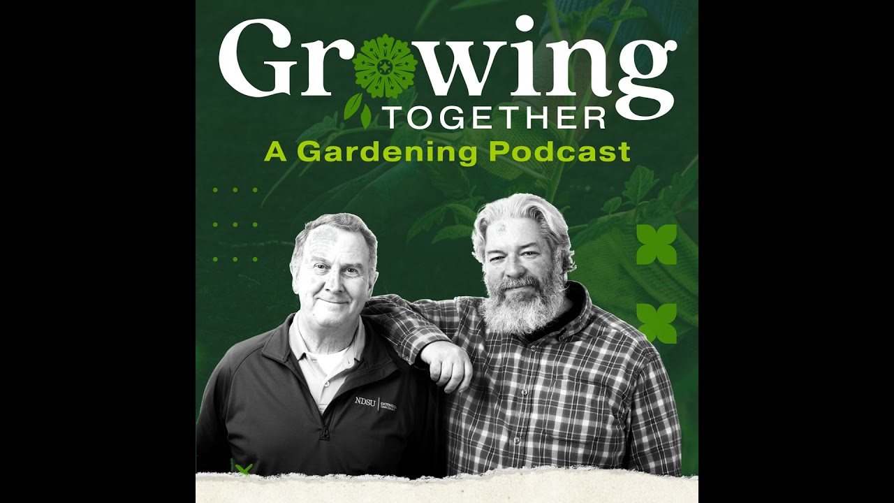 The benefits of planning out your garden before the spring season