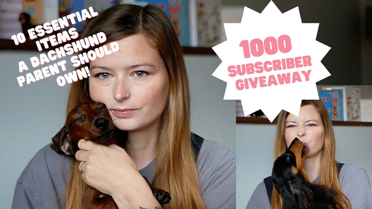10 Essential Items A Dachshund Parent Should Own!  | 1K GIVEAWAY | Miniature Dachshund UK