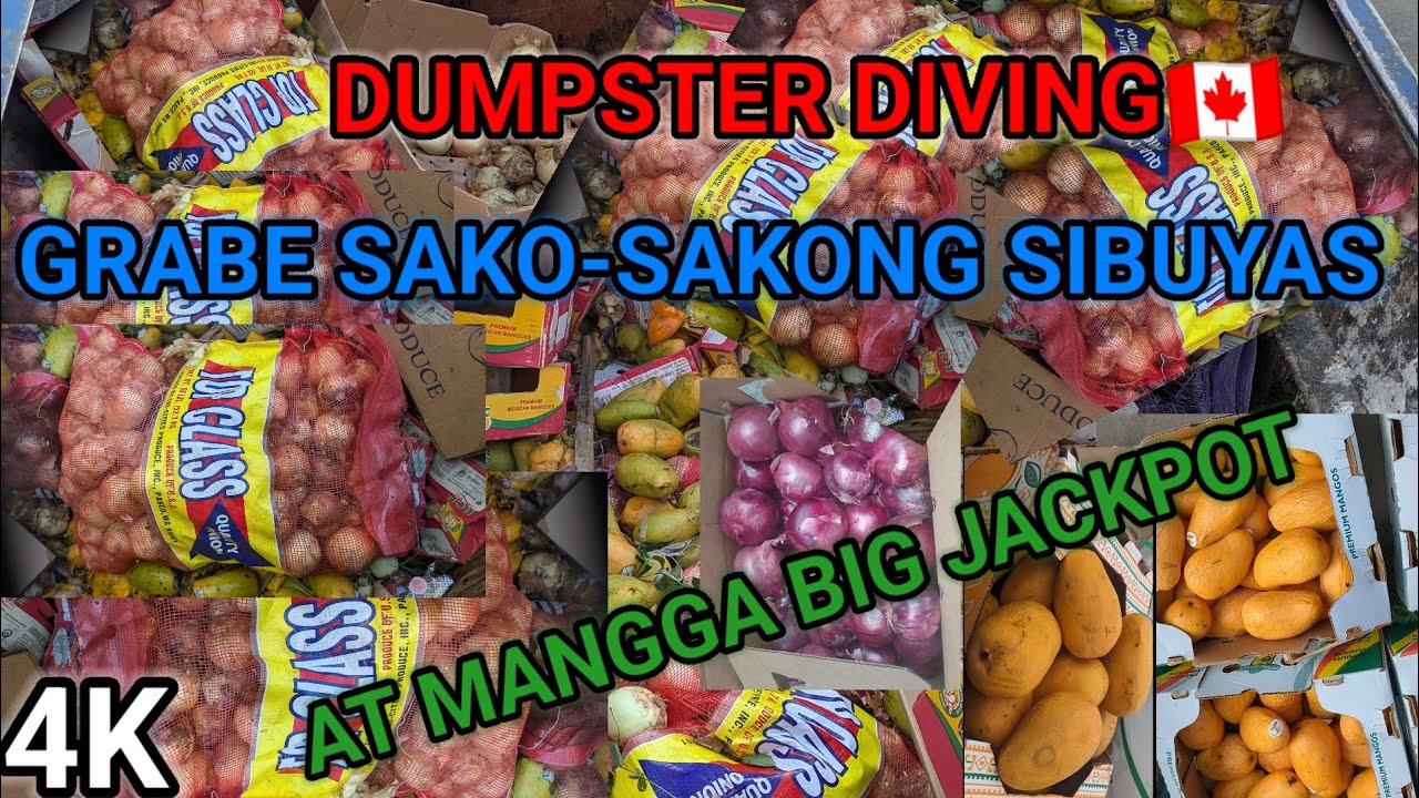 DUMPSTER DIVING🇨🇦BUMAHA NG SIBUYAS AT MANGGA GRABE KA GALANTE NI MR.BIN JACKPOT #trending #viral 