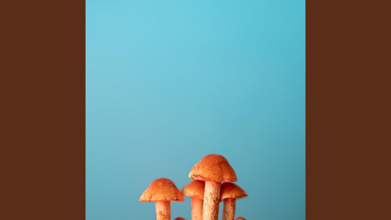 MDMA