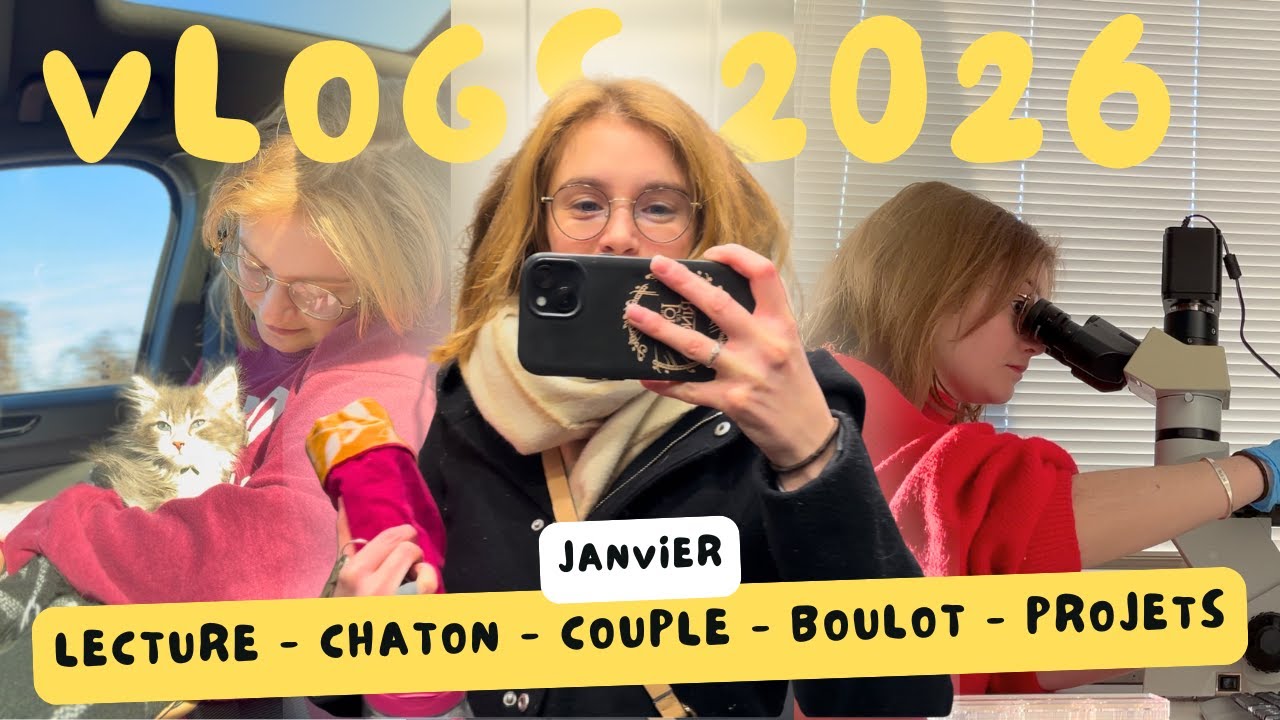 On adopte un CHATON 🐱 Lecture - Boulot - Moment à 2 📚 VLOG de Janvier