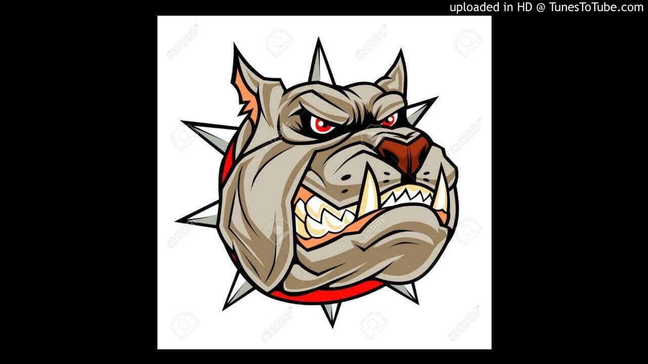 DJ PERSE - MIX LOS PERROS 2K20 👊🐶