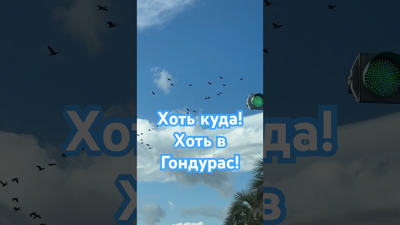 Хоть в Гондурас. Нажми &laquo;подписаться&raquo;, чтобы не пропустить