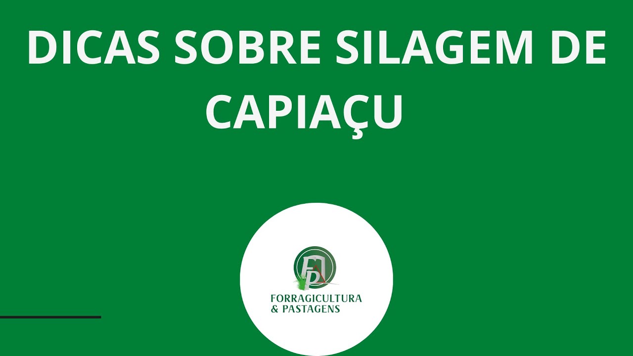 DICAS SOBRE SILAGEM DE CAPIAÇU