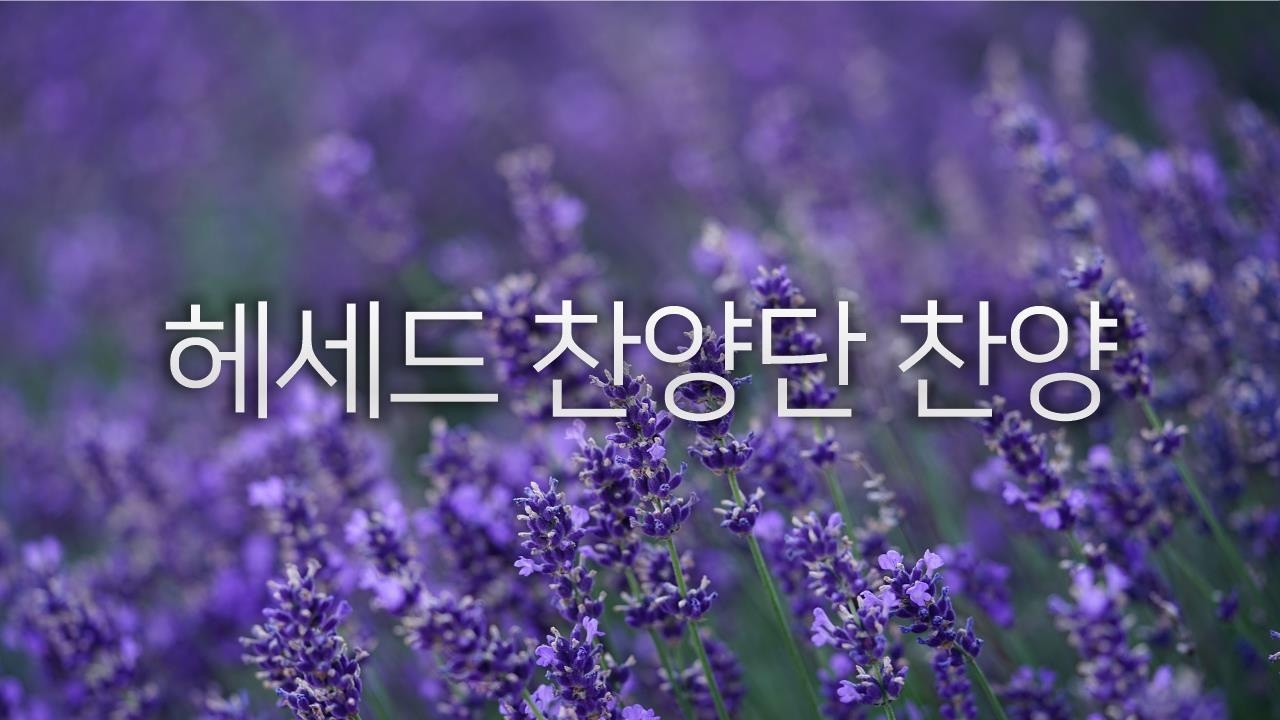 3.18.(수) 국방대학교교회 수요교우회예배 헤세드찬양단 찬양