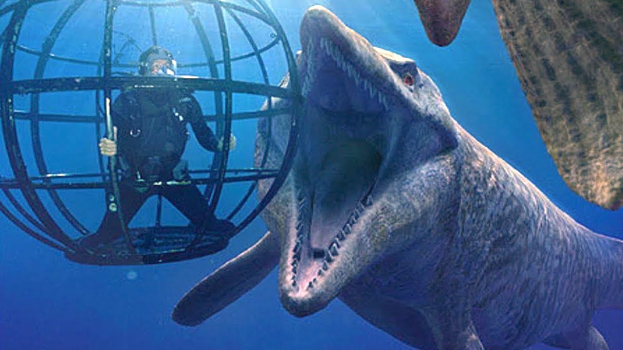CIÒ CHE NON VOGLIONO TU SAPPIA DEI PARCHI ACQUATICI