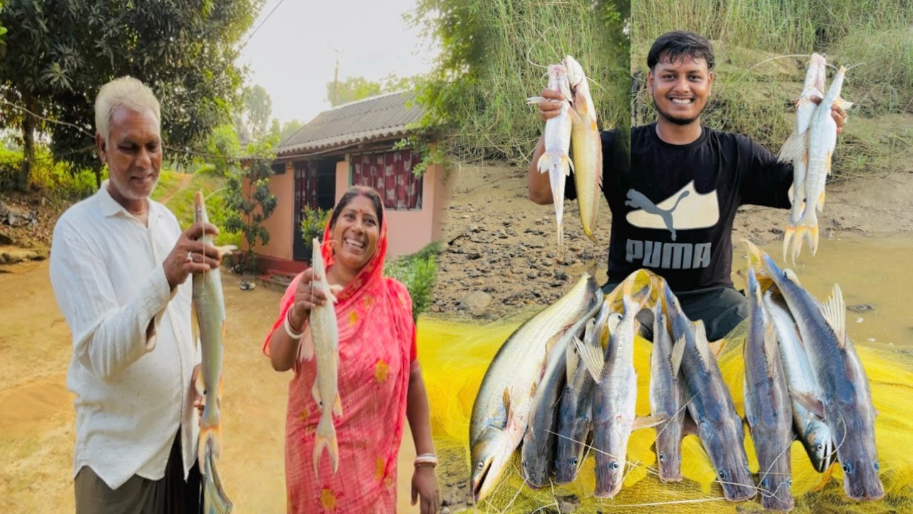 ভোররাতে অজয় নদীর সবচেয়ে দামী মাছ ধরার আনন্দ। Village River Fishing..🐟 🐠🦈