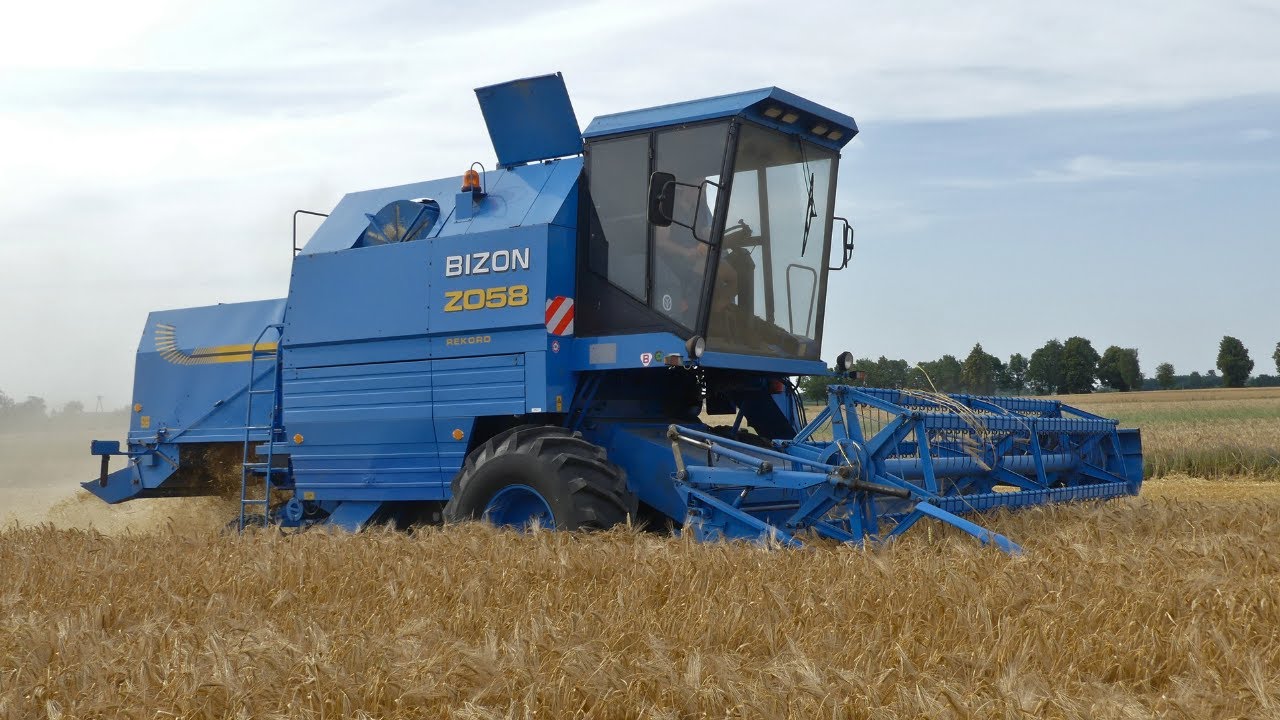 Bizon Rekord ,,Millenium,, walczy w tęgim jęczmieniu 2024!!